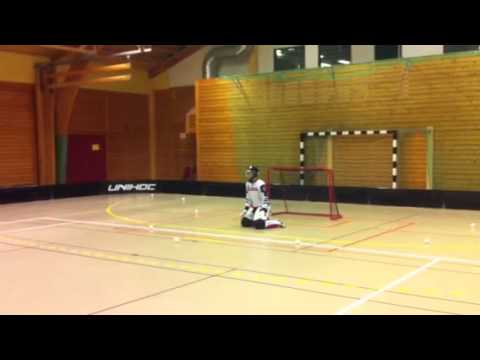 Adler - till landslaget?