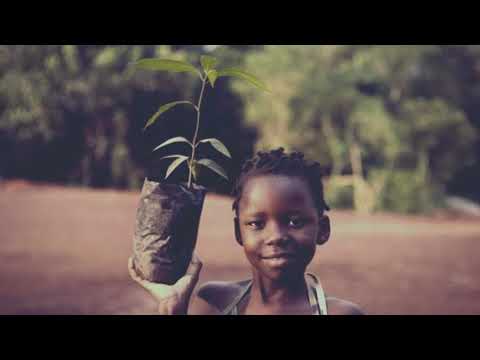 Ntirelang Berman & Molemi