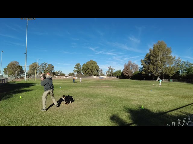 Judge.me YouTube video placeholder