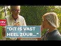 Wilde appels uit de ijstijd verdwijnen langzaam | RTV Drenthe