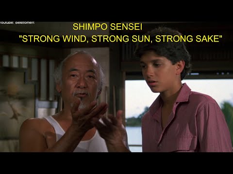 The Karate Kid Part II: Origin of Myagi-Do Karate  - Shimpo Sensei