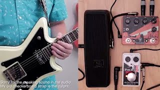 Video thumbnail for EHX Dual Expression - Unboxing and Demo. by 60 Cycle Hum