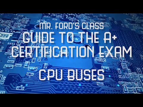 Data Types CS50 Shorts