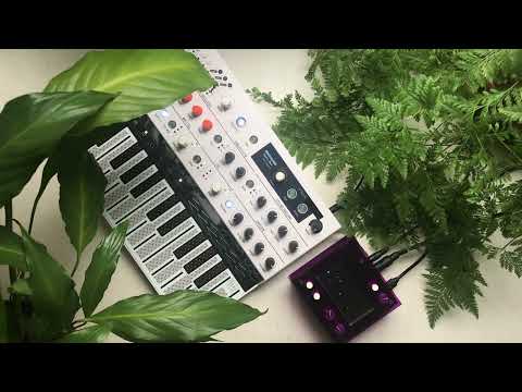 Arturia Microfreak and Norns Shield (Bounds Script) - Ambient