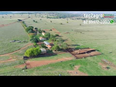 [🌱DUPLA APTIDÃO🐄] Fazenda à Venda em Goiás 817 Alqueires em Ivolândia - GO #agro #fazenda