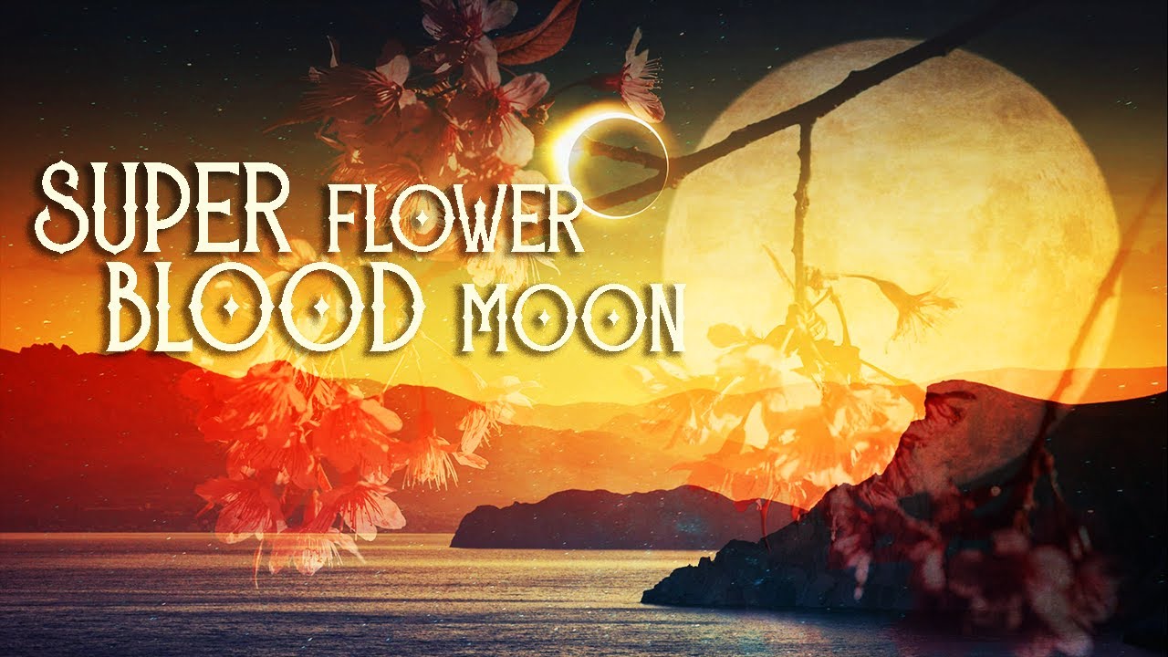 Super Flower Eclipse | MAY 26 | Full Moon in Sagittarius: Mega Shift