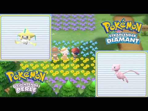 Mew und Jirachi holen - Pokemon strahlender Diamant & leuchtende Perle - Tipps und Tricks