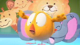 Chicky and the animals | Where's Chicky?  | Cartoon Collection in English for Kids | New episodes