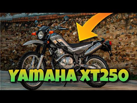 Yamaha xt250 Off-road Test Ride On The Holywell Trail | Jamaican Bike Life 🇯🇲