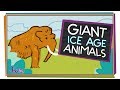 5 Giant Ice Age Animals Natural History For Kids