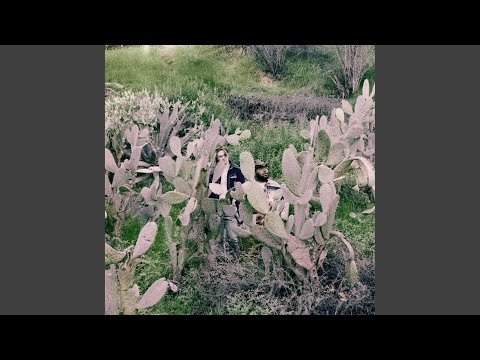 Yellowstone - Bones