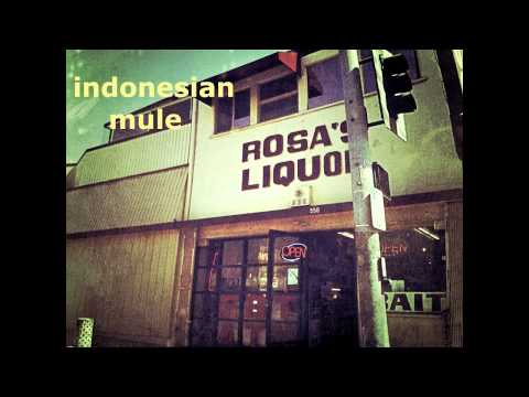 Indonesian Mule ~ Time Has Come live 4 4 2003