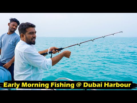 Early Morning Fishing @ Dubai Harbour | Jabbar Bhai Yachts...