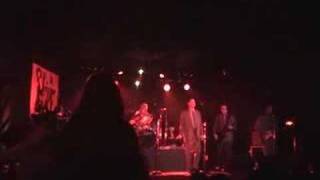 elvis Costello Tribute  Sneaky Feelings Red Shoes