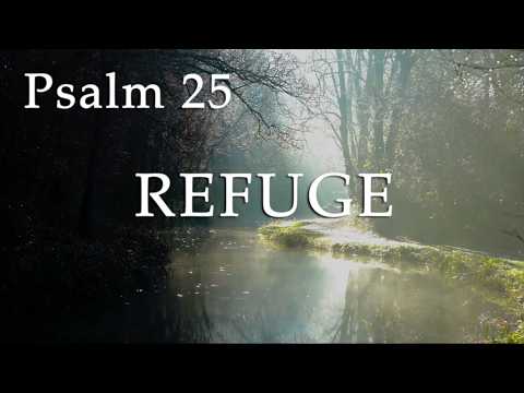 Psalm 25 - Guard my Life and Rescue me, LORD; for I take Refuge in You.