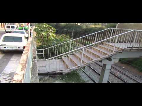 Carlos Bernal Profile 2011