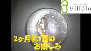 耳掃除動画vol.66「2ヶ月に1回のお楽しみ」