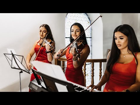 Zespół Orły - Oprawa muzyczna ślubu 2023