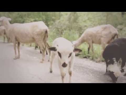 Sassja - Za raju (Official video)