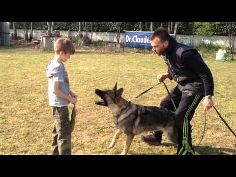 Noah und Kiki Von Der Liebenburg