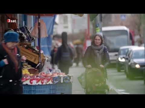 Zweierlei Maß Grenzwerte und Kontrollen für Stickoxide variieren