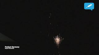 Perfect Harmony  | Royal Fireworks | Vuurwerkforum.nl