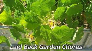 Garden Chores