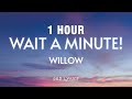 [1 HOUR] Willow - Wait A Minute! (Tiktok Remix) [Lyrics]