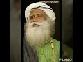 When You Pure You Re Very Patience Sadhguru Lines WhatsApp Status All In One