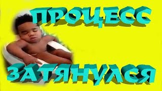 Смотреть.Смешные видео.Приколы с животными. 2017