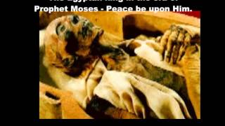 Pharaoh&#39;s Body is found