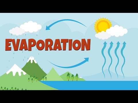 What is evaporation  | How salt is made | Evaporation process & facts | Evaporation video for kids