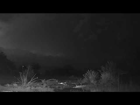 Distant thunderstorm timelapse with lots of lightning. 28 March 2021.