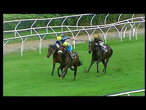 Napoli Galoppo 22/11/2021 - 2ª corsa