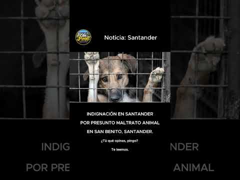 INDIGNACIÓN EN SANTANDER POR PRESUNTO MALTRATO ANIMAL #animal #maltratoanimal #santander #colombia