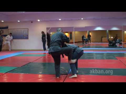 Danshu no kata - 1st level Gyokko ryu for Akban wiki