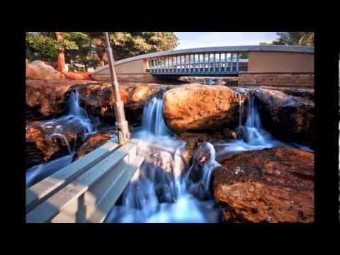 Sangeeta Nagpal Dubai Sports City