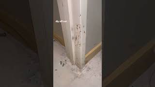 How To Repair Door Jamb #shorts #youtubeshorts #woodworking