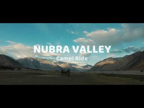 Nubra Valley  Double Humped Camel Ride  Ladakh || GO TO FLY TRAVEL