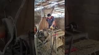 Download lagu pembuatan kompang dari lawatan dari Coach Zul mp3 Download lagu pembuatan kompang dari lawatan dari Coach Zul mp3