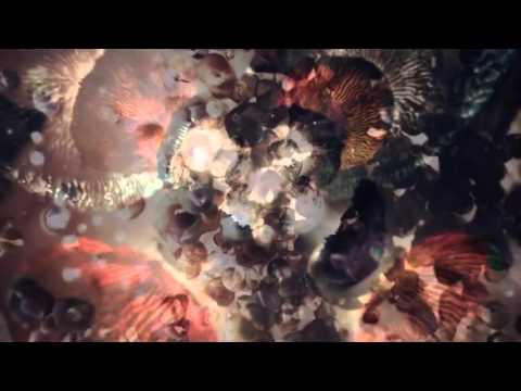 Hecq # Intro - (music video-2016)