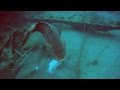 Spear Fisherman Dragged by Goliath Grouper