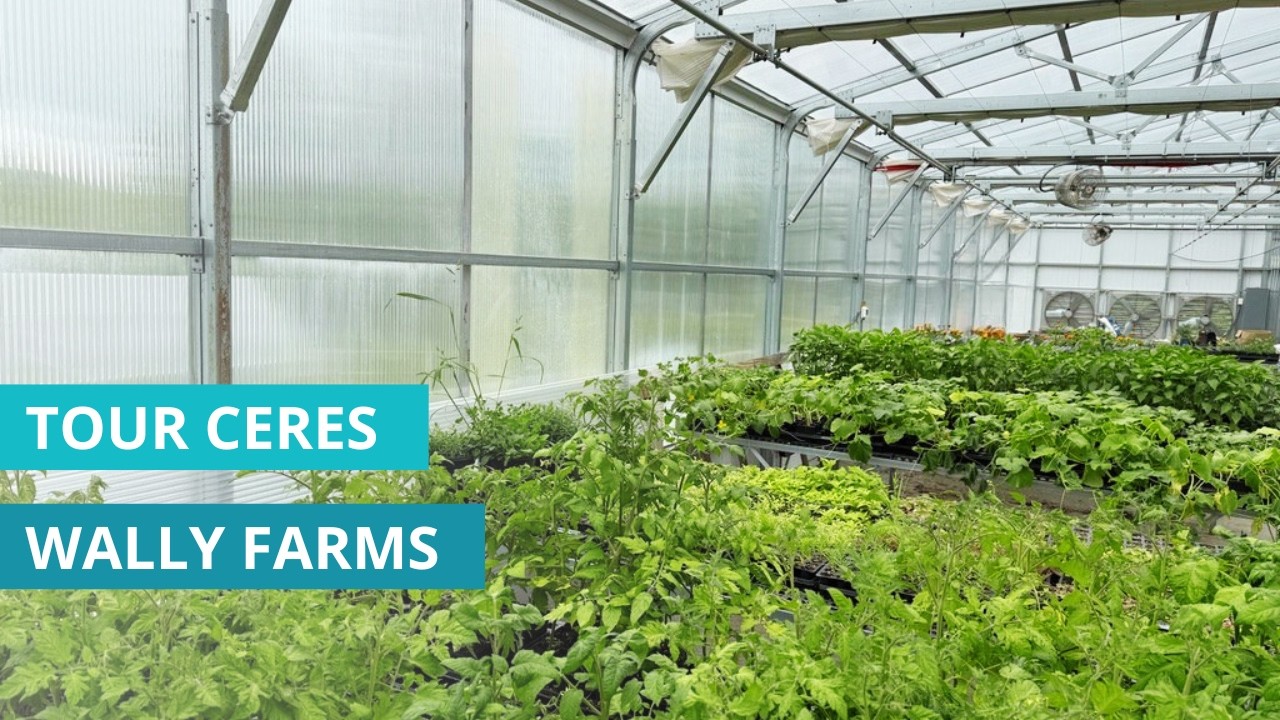 Greenhouse business incubator