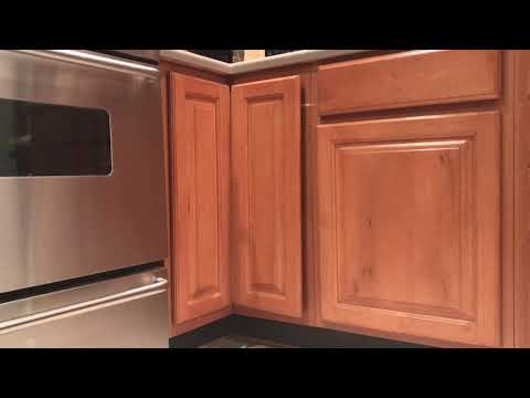 Maitri the Cabinet and Counter Cat