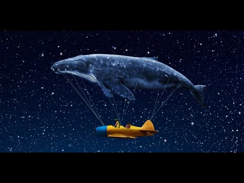 Elly Dji - Não Perco Meu Tempo 🚀(Video Clip) Drill