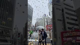 エンドレスひよこフォーリング(sora2生成動画)