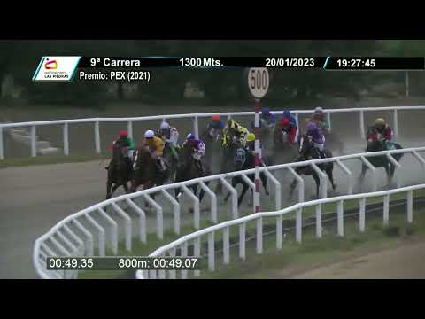 230120 c09 - QUINCAS (BRZ) - HIPODROMO LAS PIEDRAS
