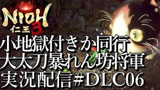 [仁王3慶安地獄変]大太刀暴れん坊将軍,小地獄付き潰しか同行[PS5][Nioh3][実況配信][BroadCastDLC06]