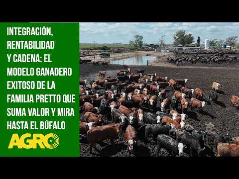 Modelo ganadero exitoso de la flia Pretto que suma valor y mira hasta el búfalo 
