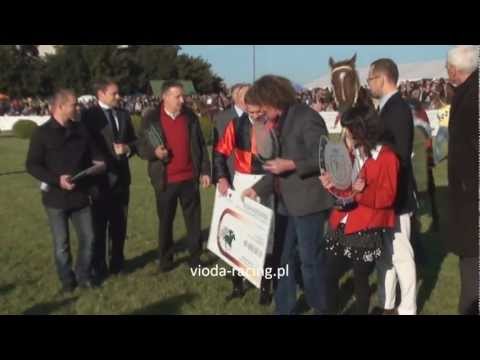 Gon. VII (Wielka Warszawska) - 16.10.2011 - Intens (Belenus - Inicjatywa)